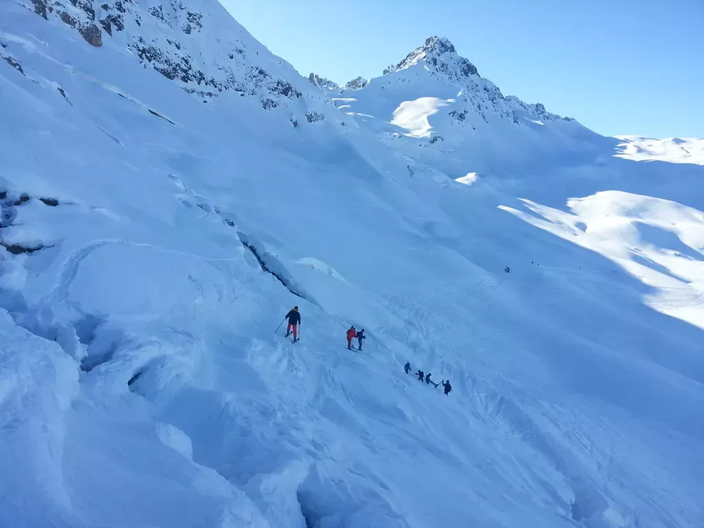 media-libraryfe4l1mvf5qv4dP7hqry