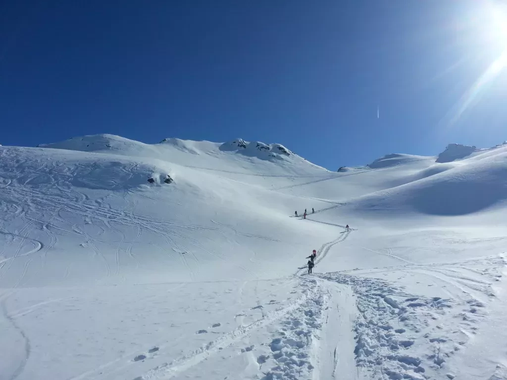 media-library54ta7ahg7kte48f4kIy