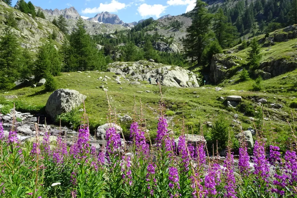 media-libraryb944o1uh3ik44T0FDPC