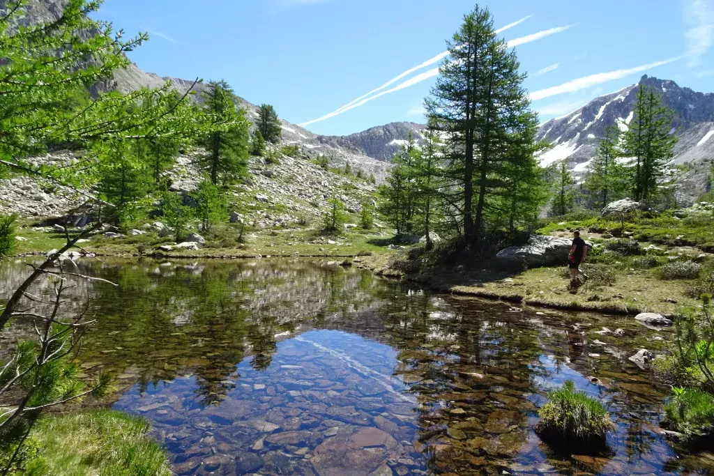 media-libraryl20fahj09ar5aJqaJPB