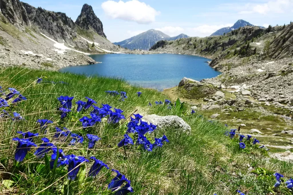 media-libraryth49b5p0r16ubjZuLBy