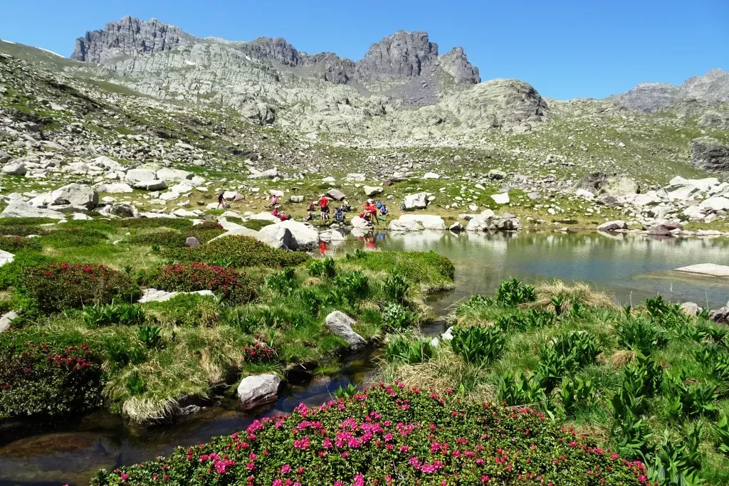 media-libraryhtve2fgngknt6XaMUzy