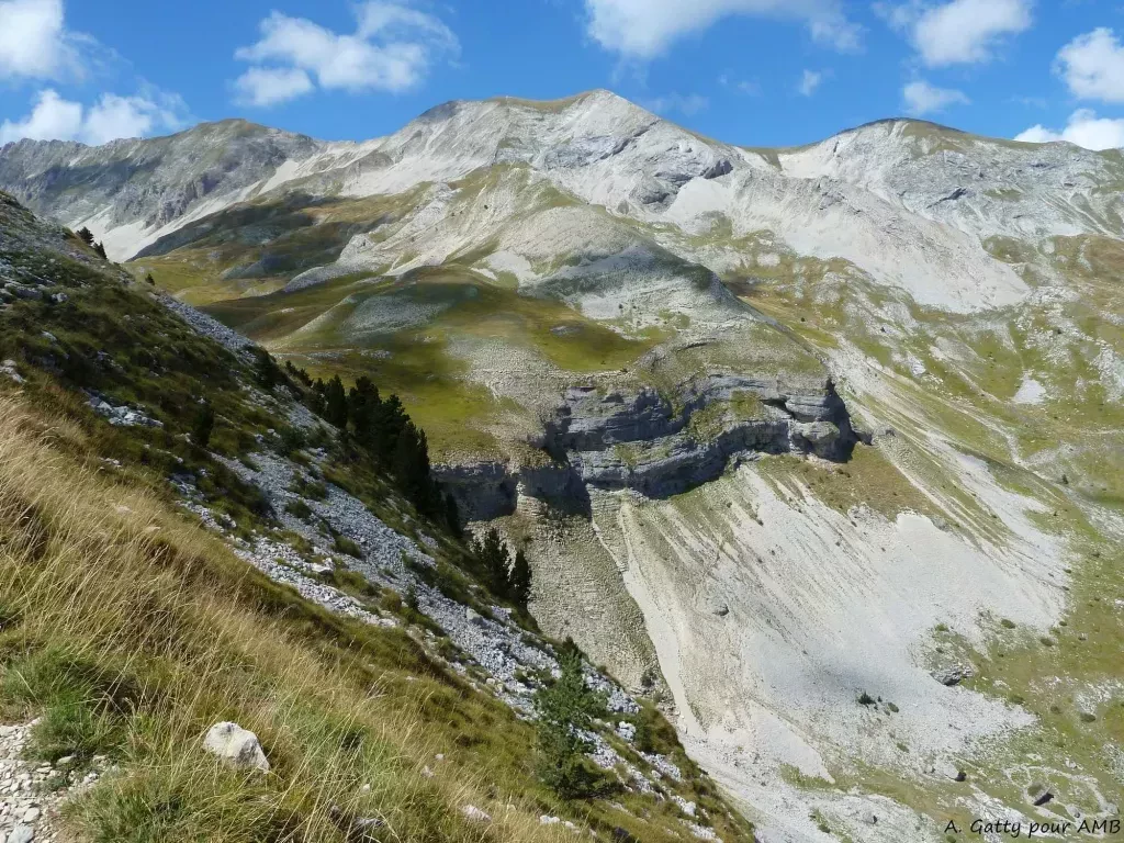 media-librarysb2h76829mnlaMiYFZB