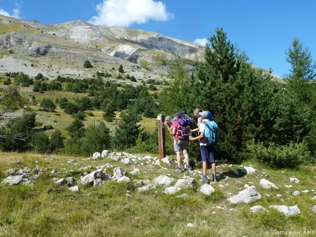 media-library73qued96rlha6cbVAQy