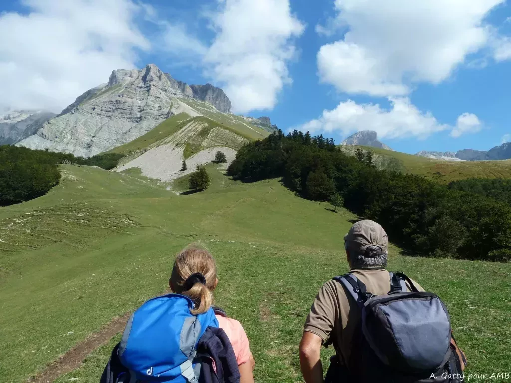 media-librarydu39c1d0mqpe7BhQdtB