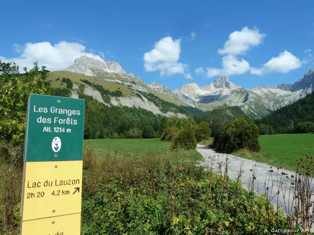 media-library9qdo00cotc1b1FUv9LC