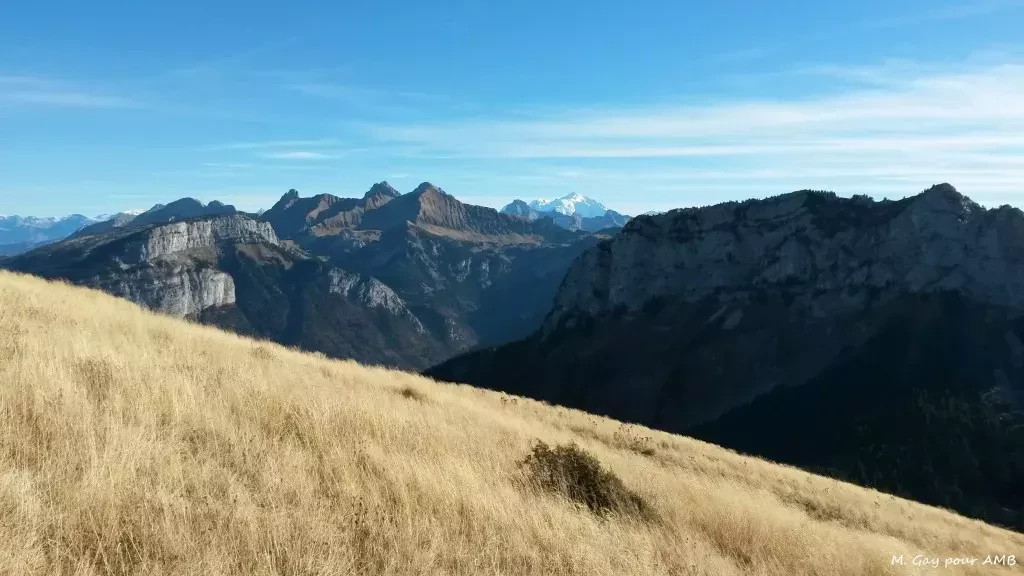 media-library3m1kch0d7uku0dBW8IC