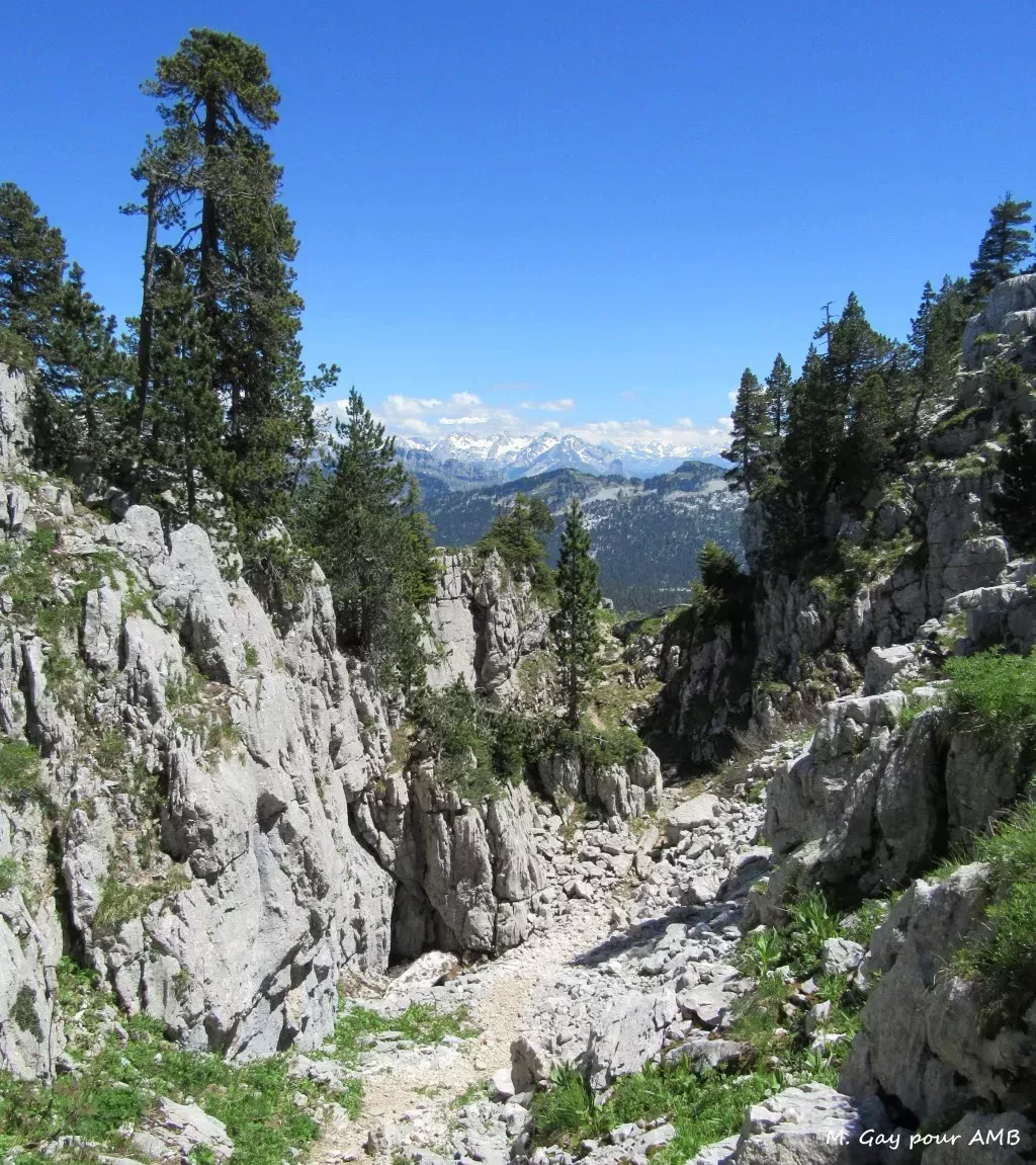 media-libraryi6nef529h3sk3dNJ86A