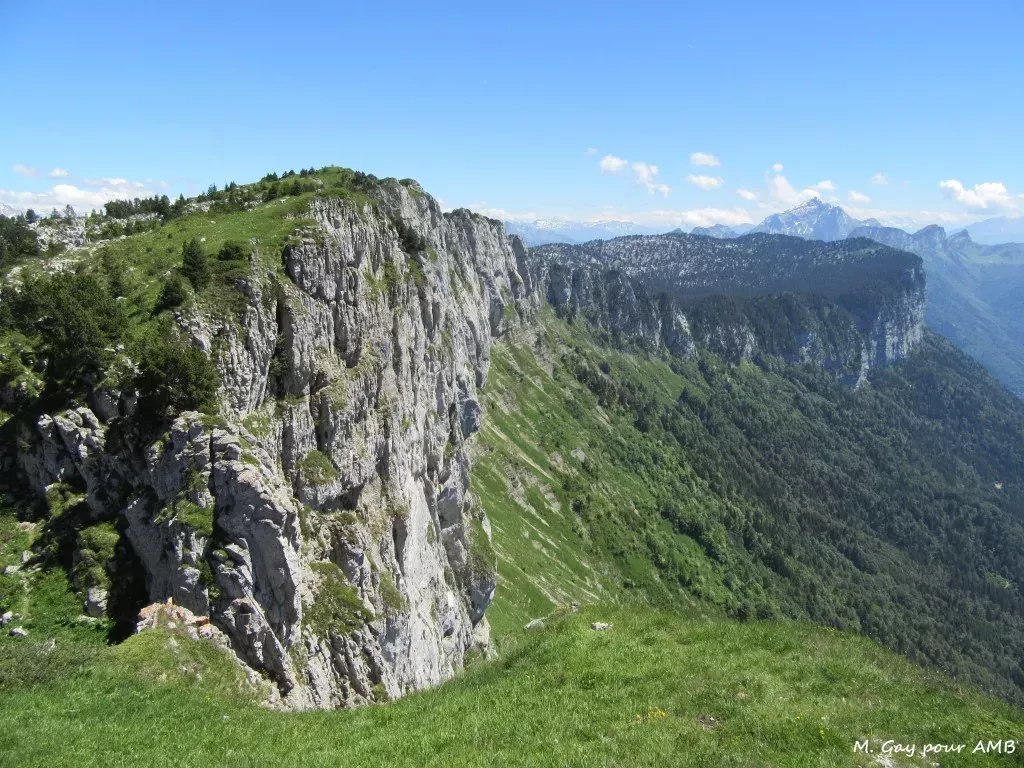 media-libraryvgdc60ventqkaWsm4fz