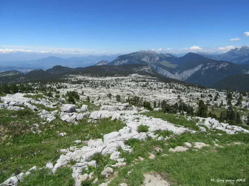 media-library3j2u7vht44v07AsjPEy