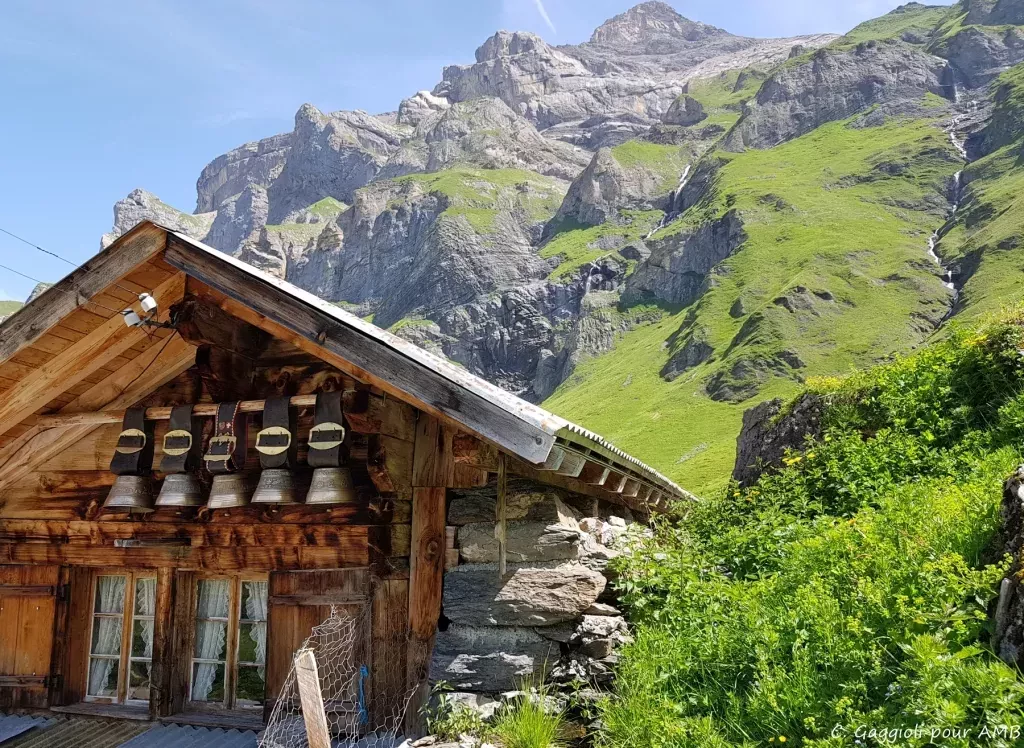 media-library184cgisa3bkn028KMBy