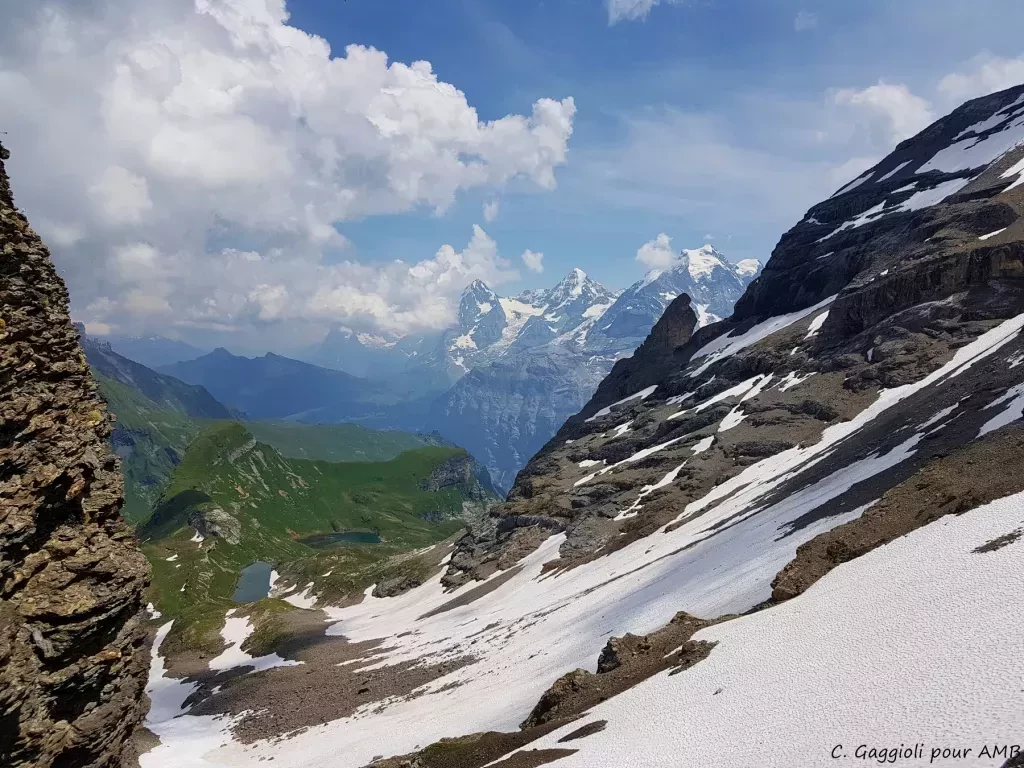 media-librarygqemc48ua78j61xoR7y