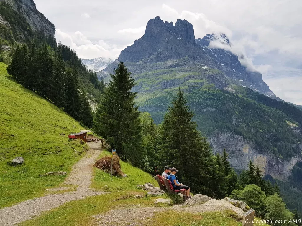 media-libraryubdd624hooej1kQgVIC