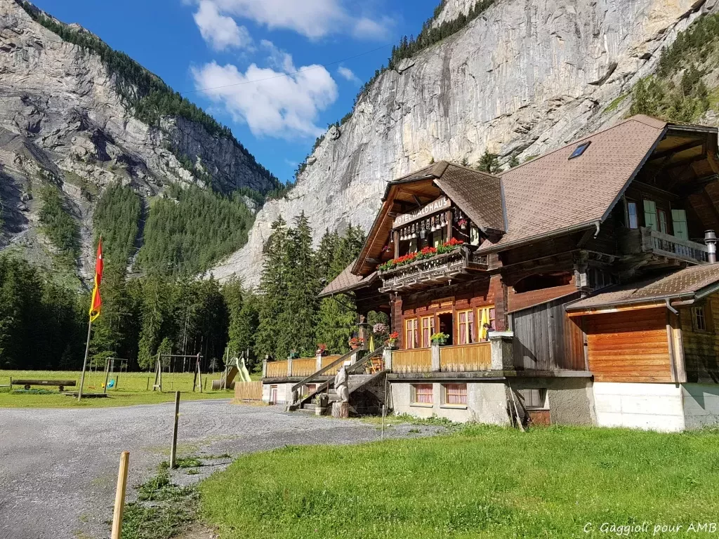 media-library6fo0iffsucu4azG57zA