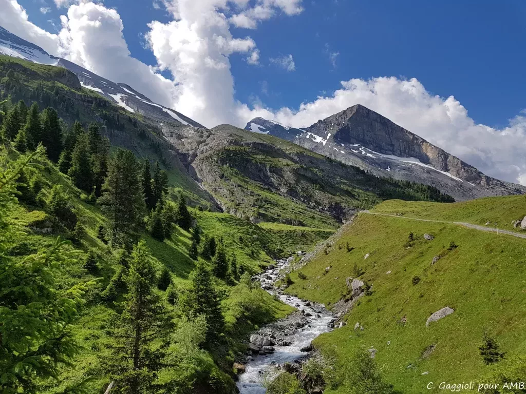 media-librarylr2bfnb5i8tt3dAWlyB