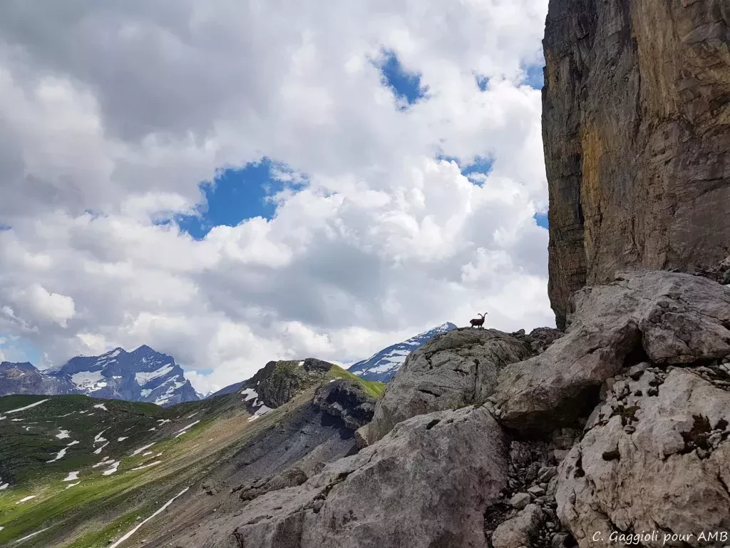 media-library21nmm30e1jc05t58r4A