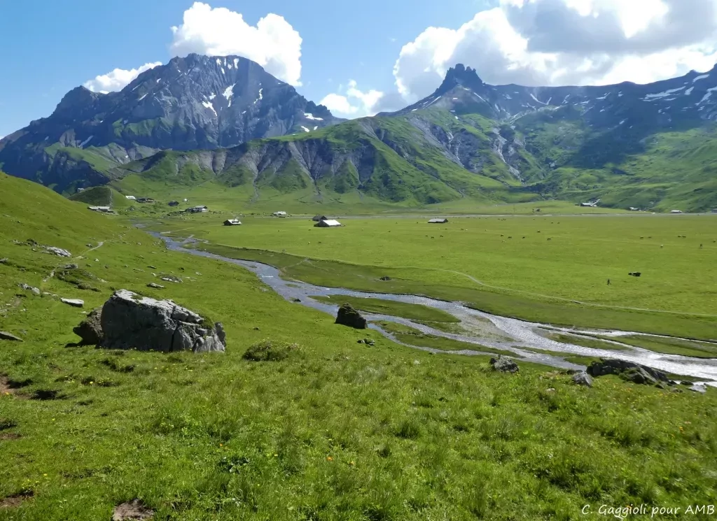 media-libraryqubg95oq5carfzOU4BC