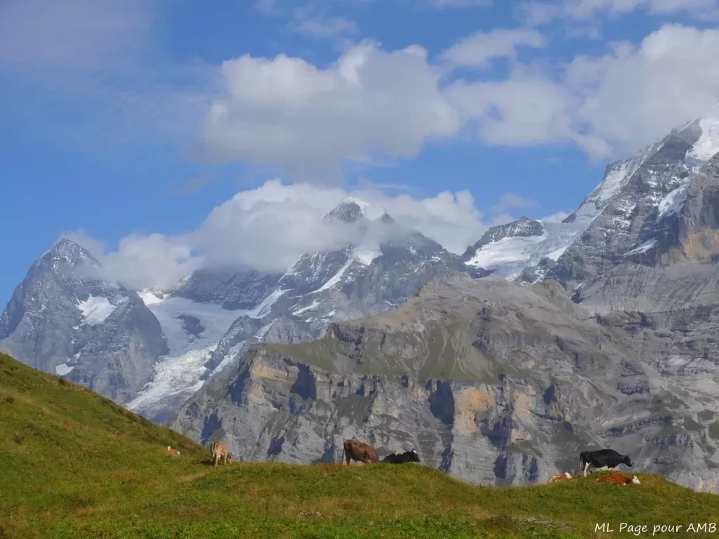 media-library195jedc97ggt1ag4auB