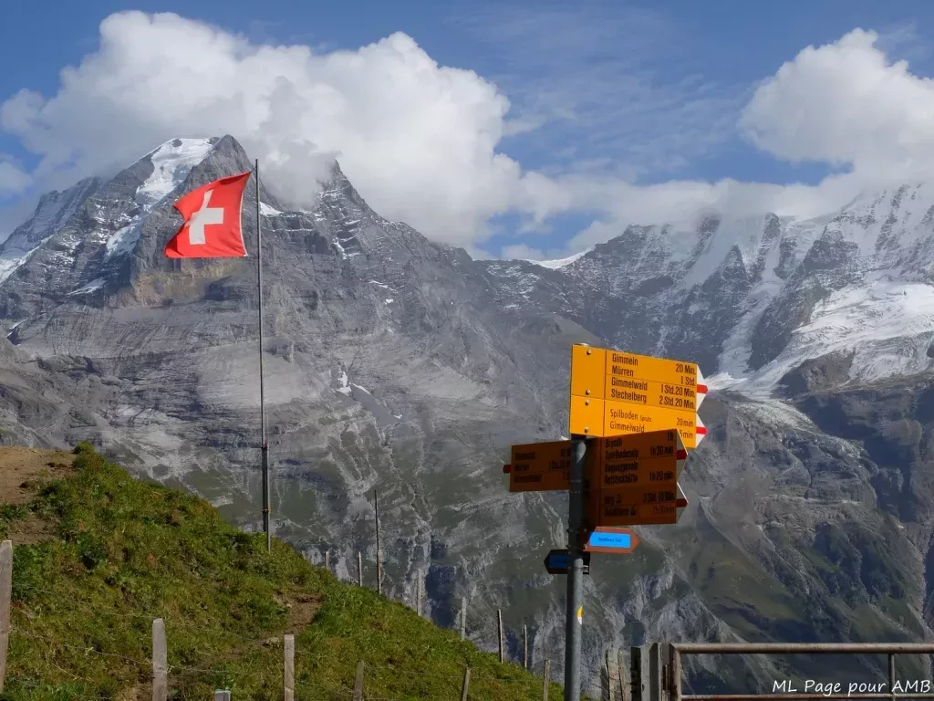 media-libraryg2i1638jps97fWkigFB