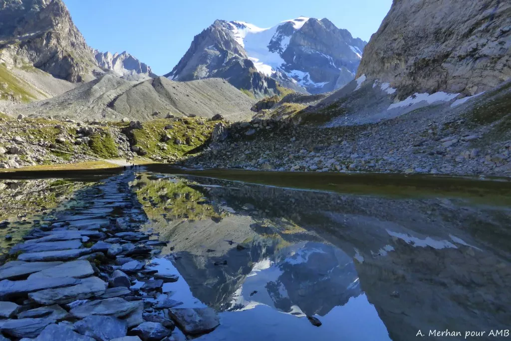 media-library1jep8m9saadqc2iB6nC