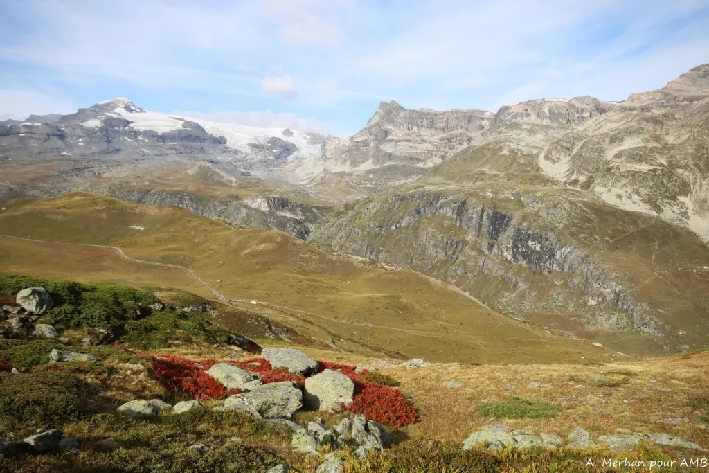 media-librarymcqm9tcq5da4e3ijppy