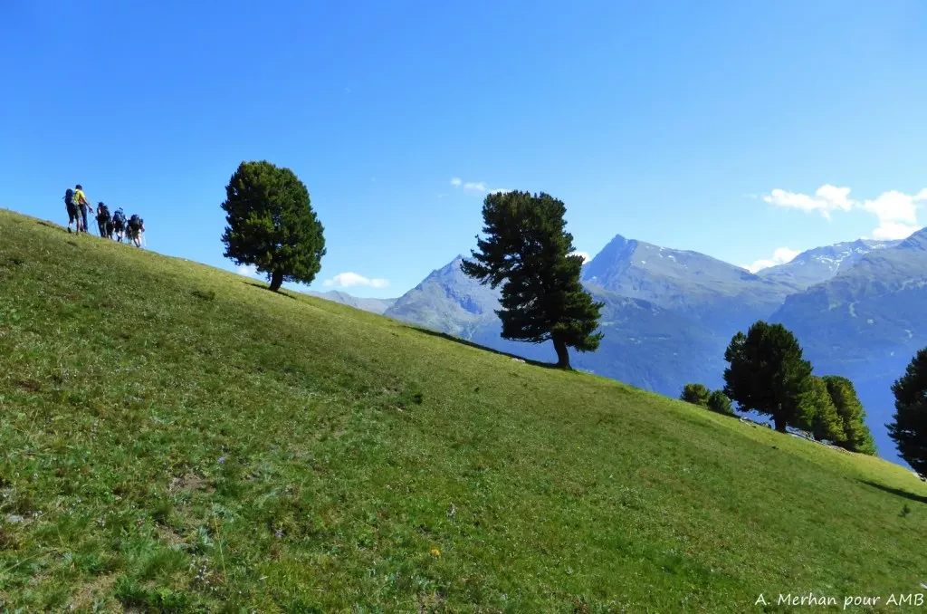 media-librarydgr9ben4kolf0iNNmFA