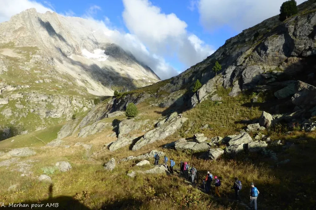 media-libraryiv3n0cghe67pfwNgaBz