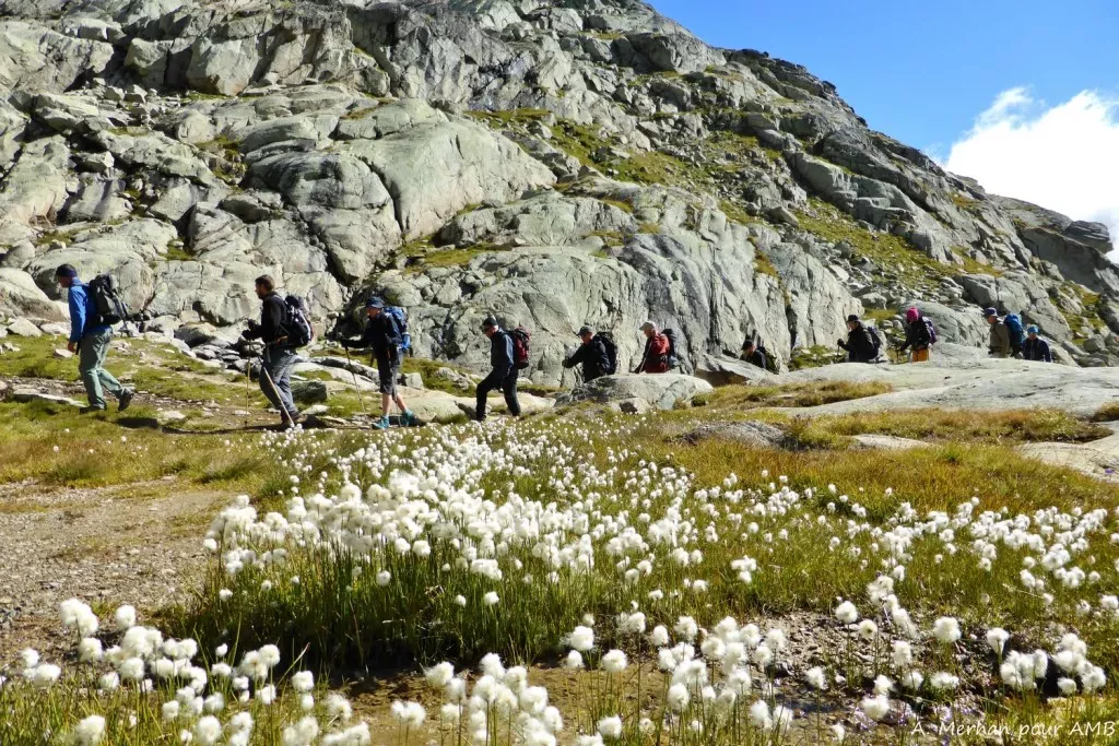 media-libraryllj6stp458sp3w1wRDB