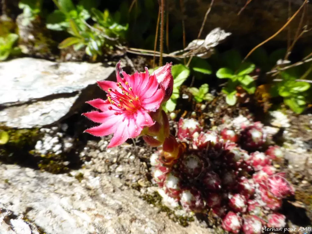 media-libraryp1vnf1nmq57c5ZBB91A