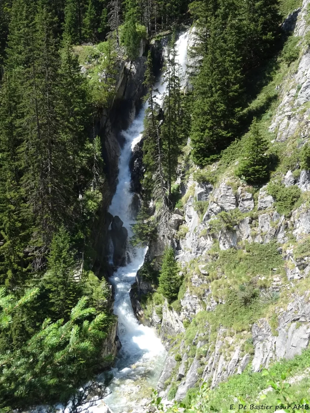 media-libraryko1pievnuc6l7sXItTy