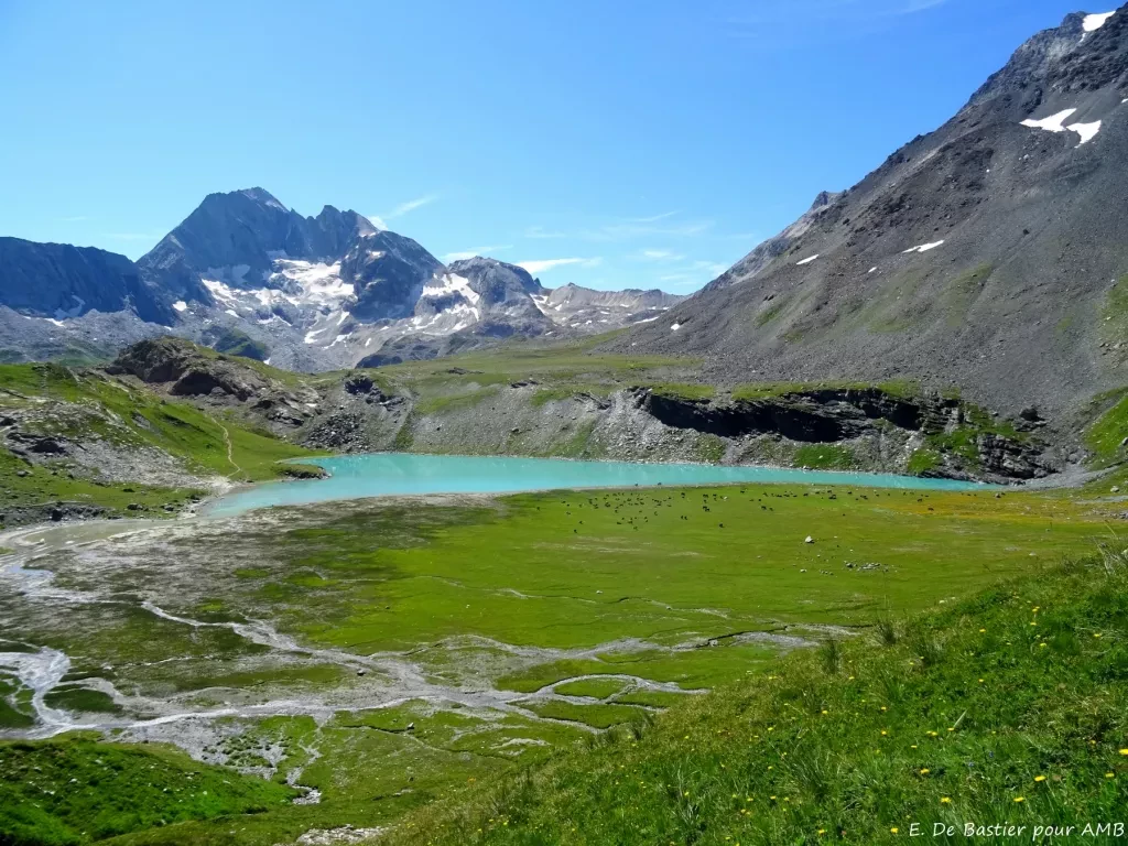 media-library6ud042bf13l5b2NE5HA