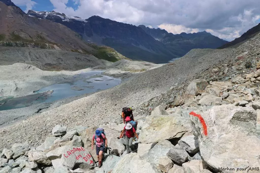 media-librarypep6sf7a072jceBeetz