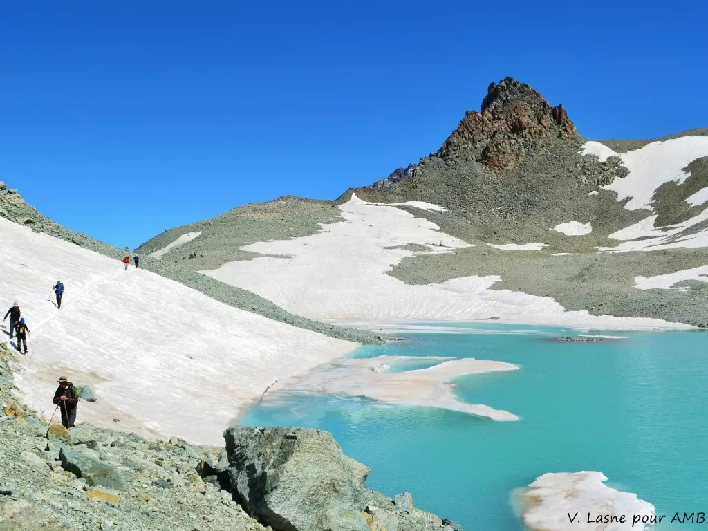 media-library379td7ghl5gvdL01CvC