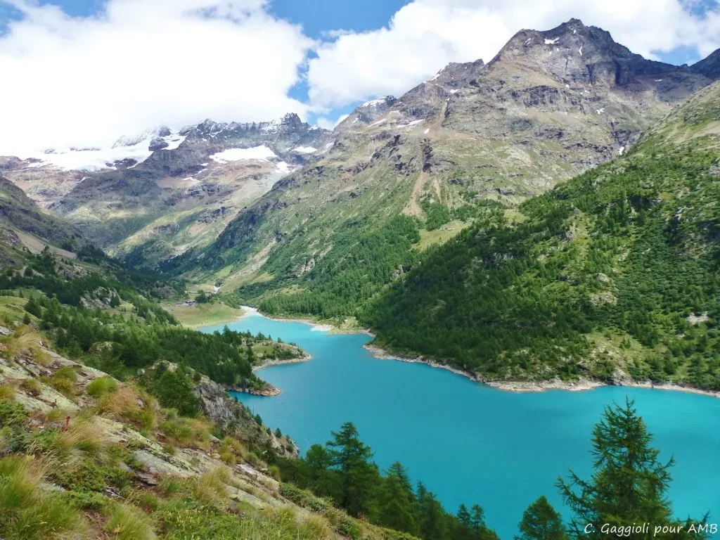 media-librarygn9abr6cbakfeSfT1FA