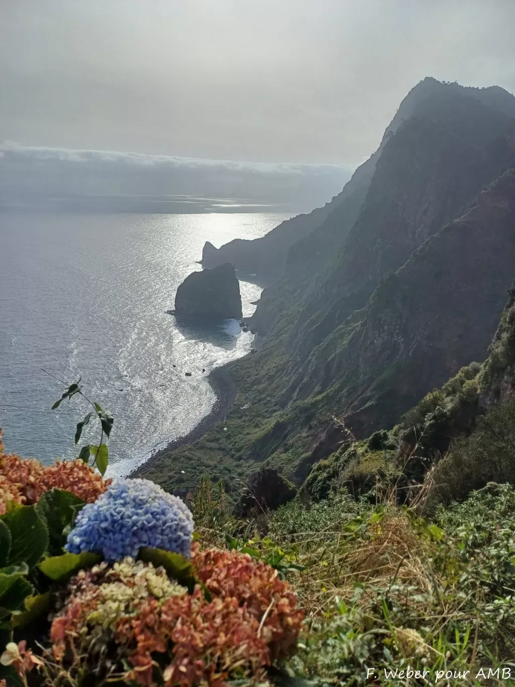 media-library9biuvmih4vd8fvXzIUy