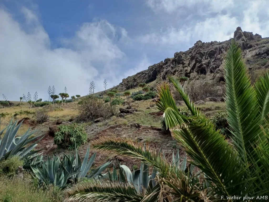 media-librarytbo35onc1j5keJO9c3z