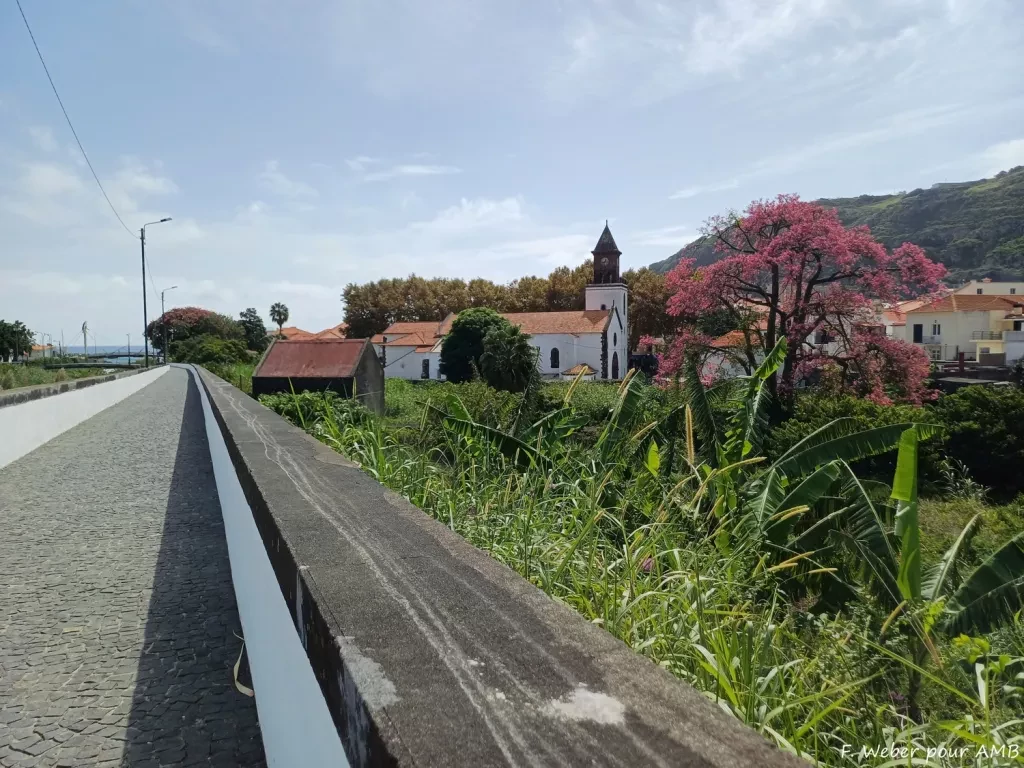 media-library231bq6o9vmifa1ehG5z