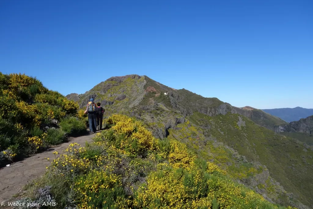 media-library2u8i576k31u94kAQy6A