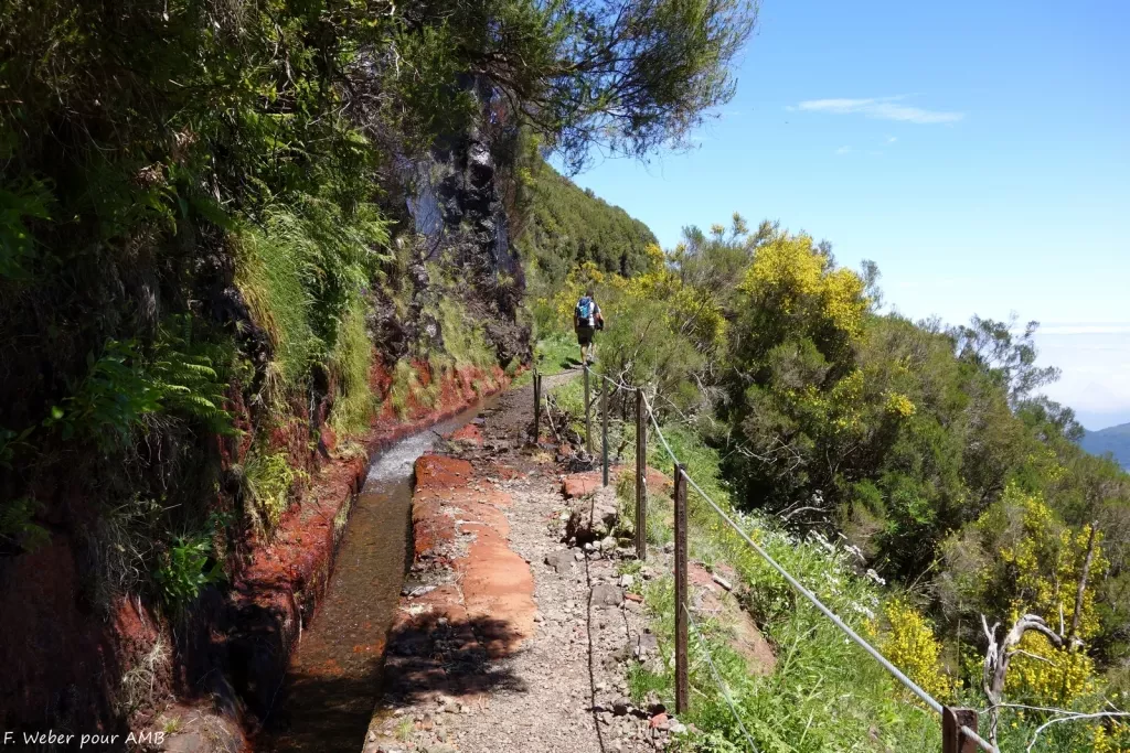 media-librarylrhm9v9uv84fdU7pMgB