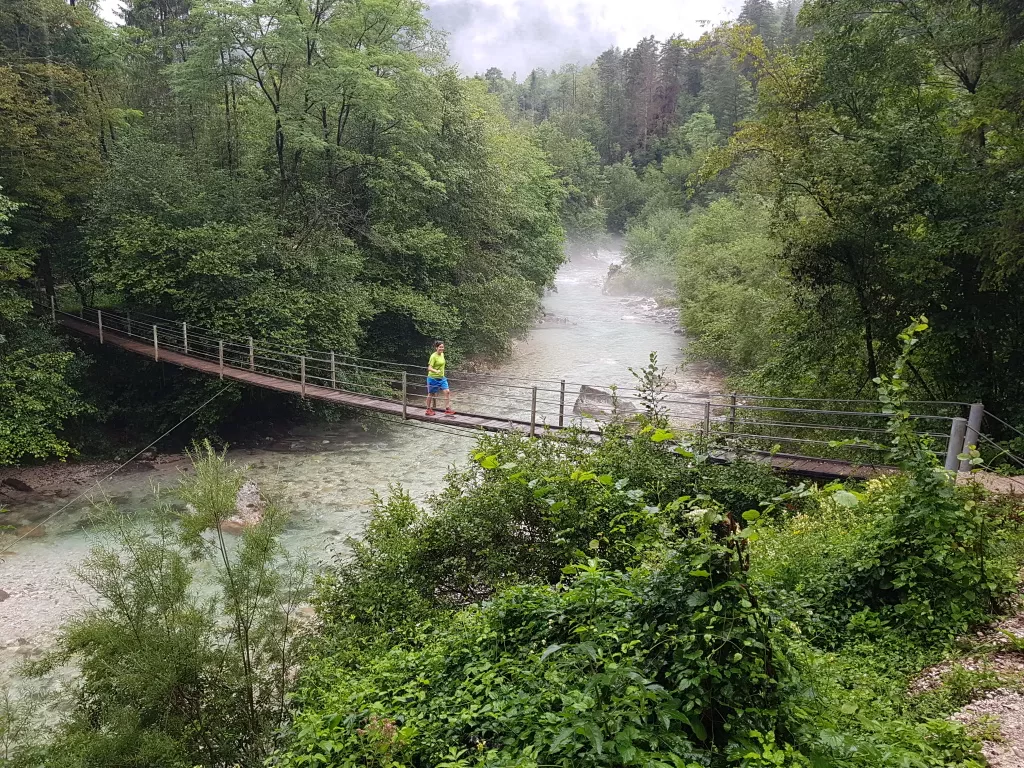 media-libraryun5bvjhfrr0iccTJjcA