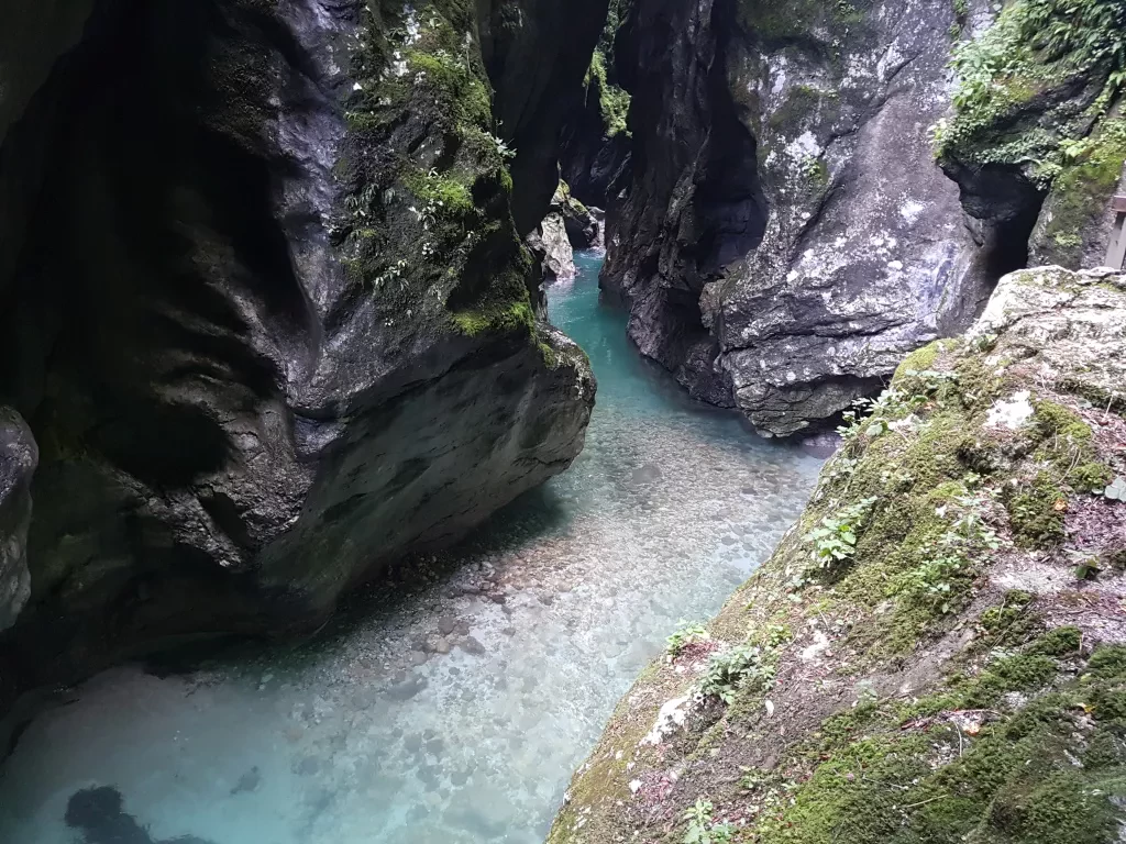 media-libraryfsk98l7juk4621TVxPC