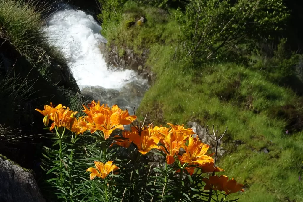 media-librarybhoej0npgjb83W357xC