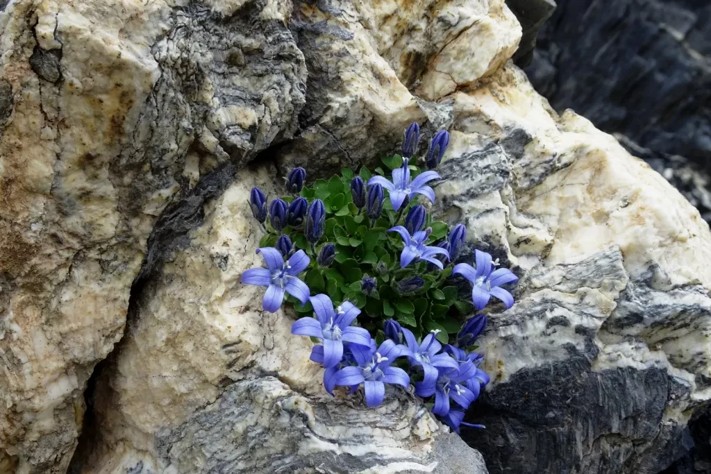 media-librarype73t7m5adue8VfWuzy