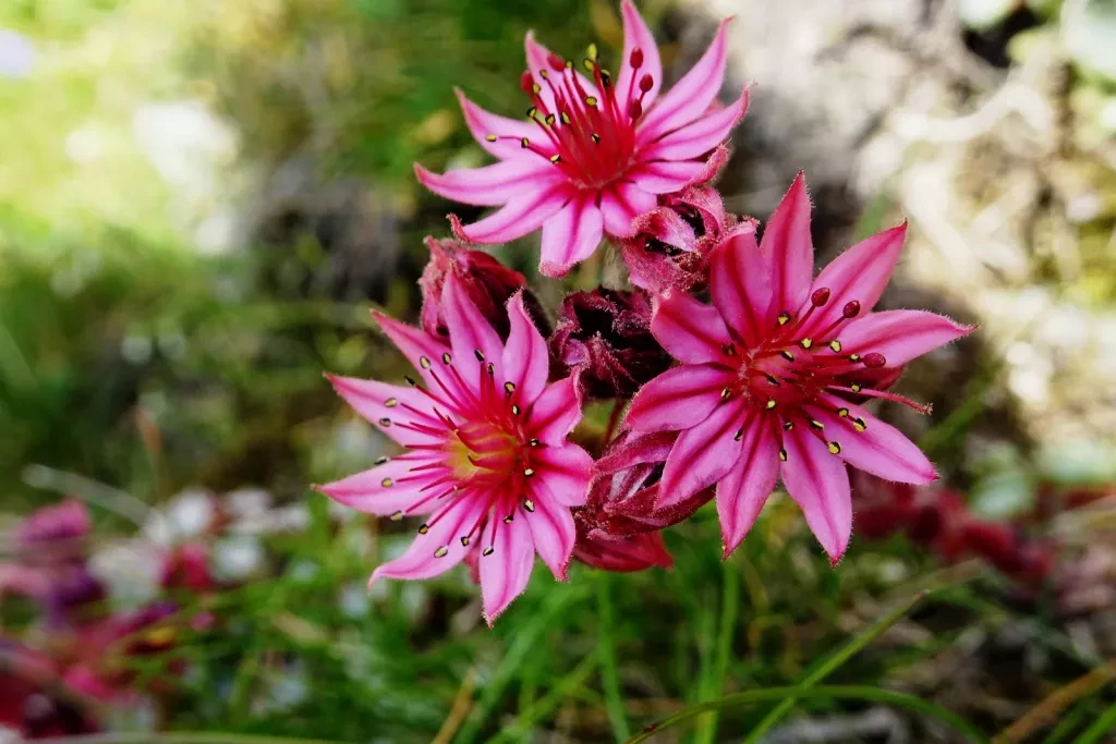 media-libraryevlqtlvbempl1cUySpA