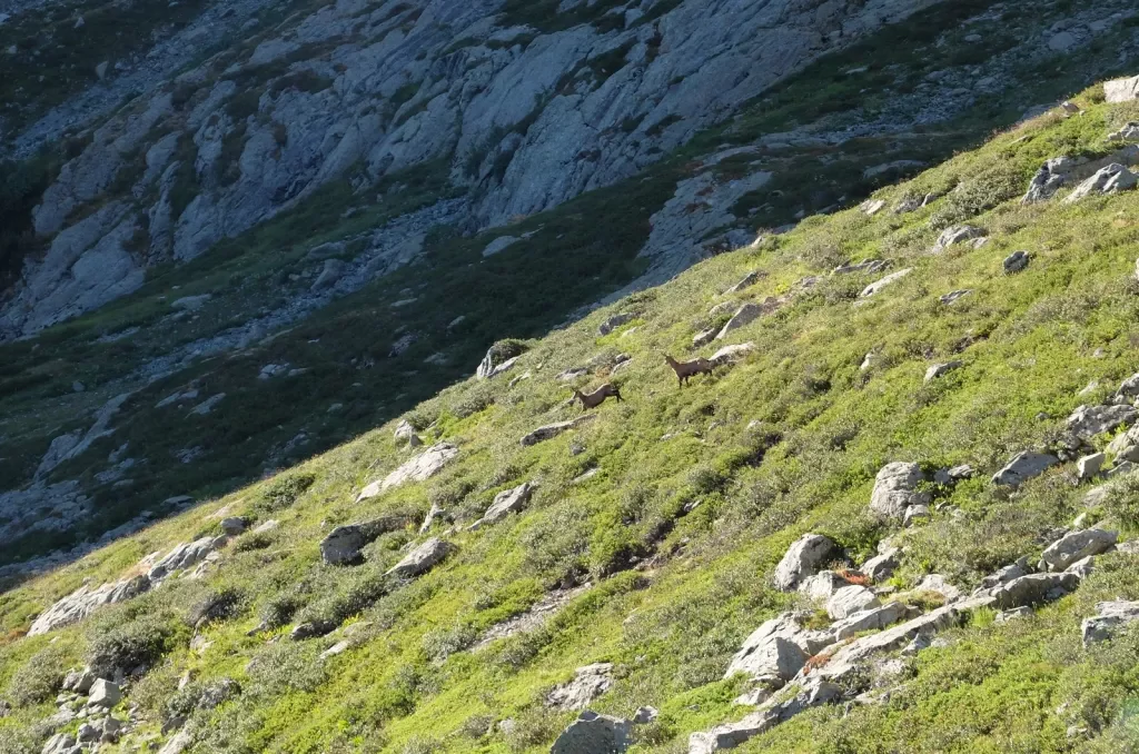 media-librarycp2pjg4kmbblajCUiZB