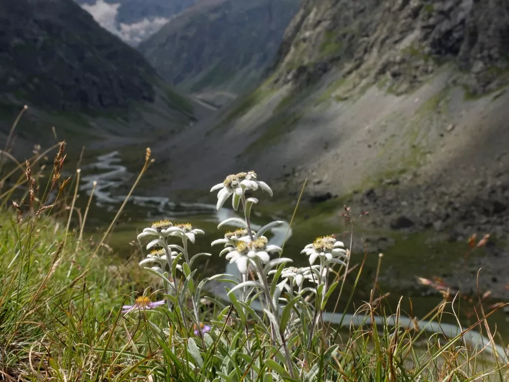 media-library90mhkj83rhnn0O5Rcaz