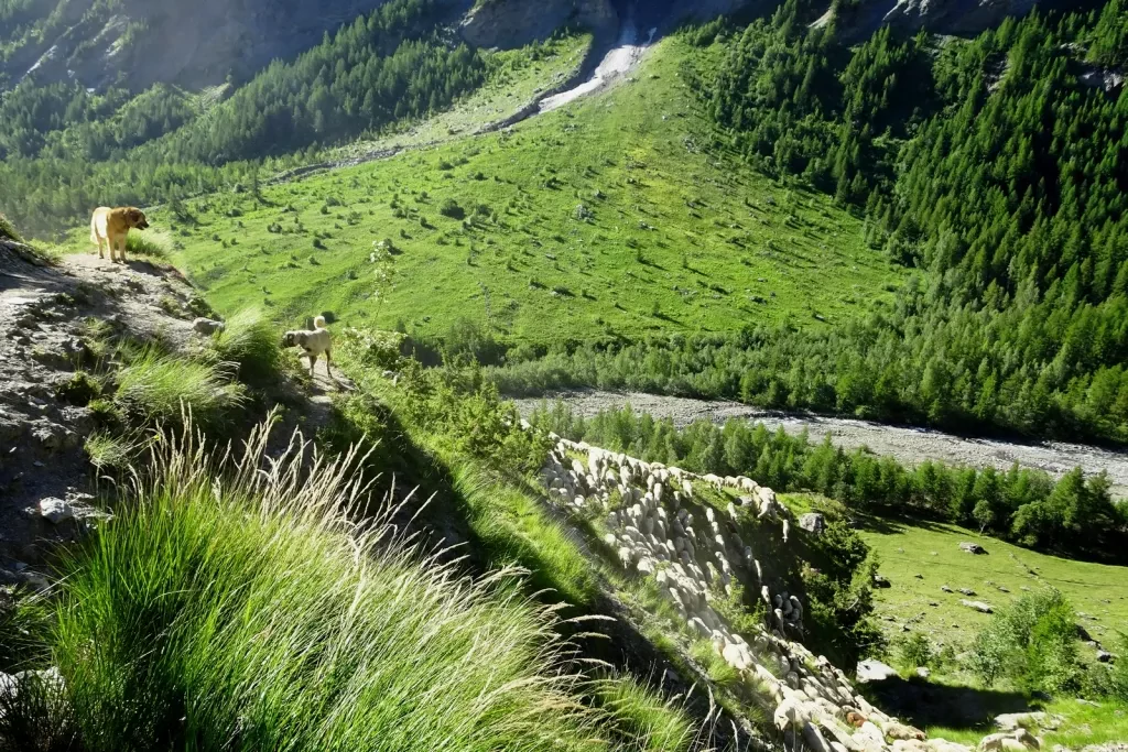 media-librarydvh3c6utq869f1bW1Uz