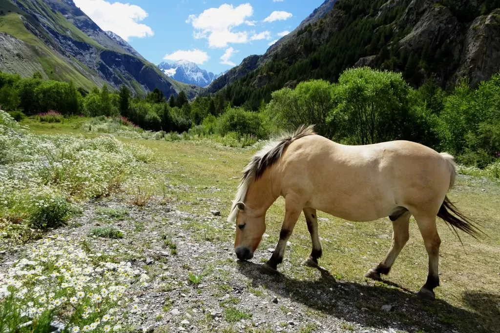 media-libraryab23jbv23e3n7fWGDQy