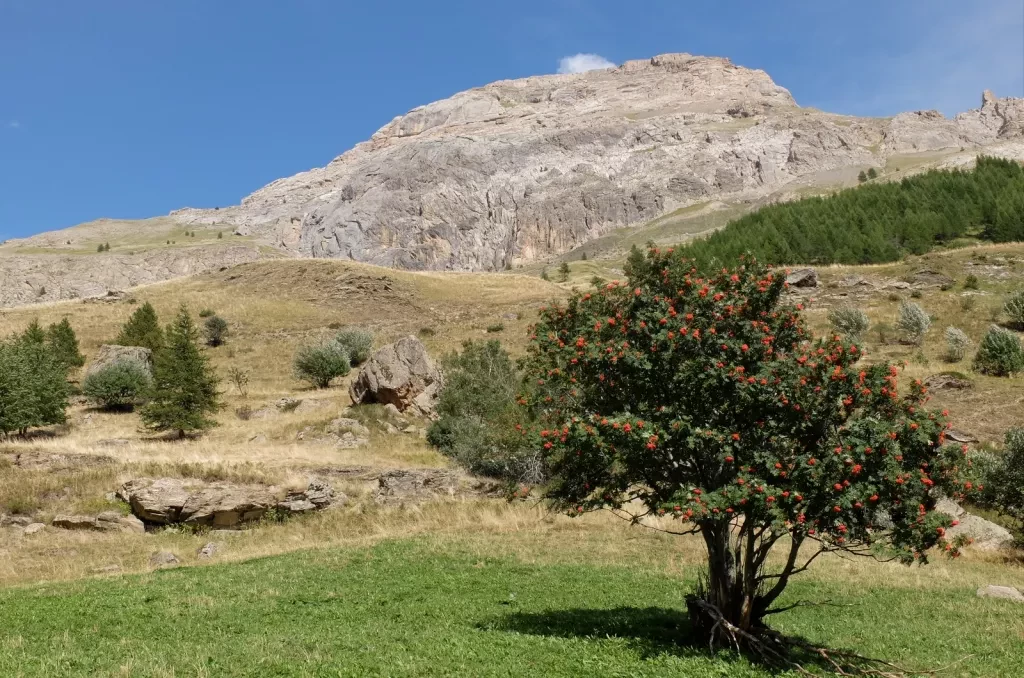 media-libraryieqjbjuhlsgta1Fq26y