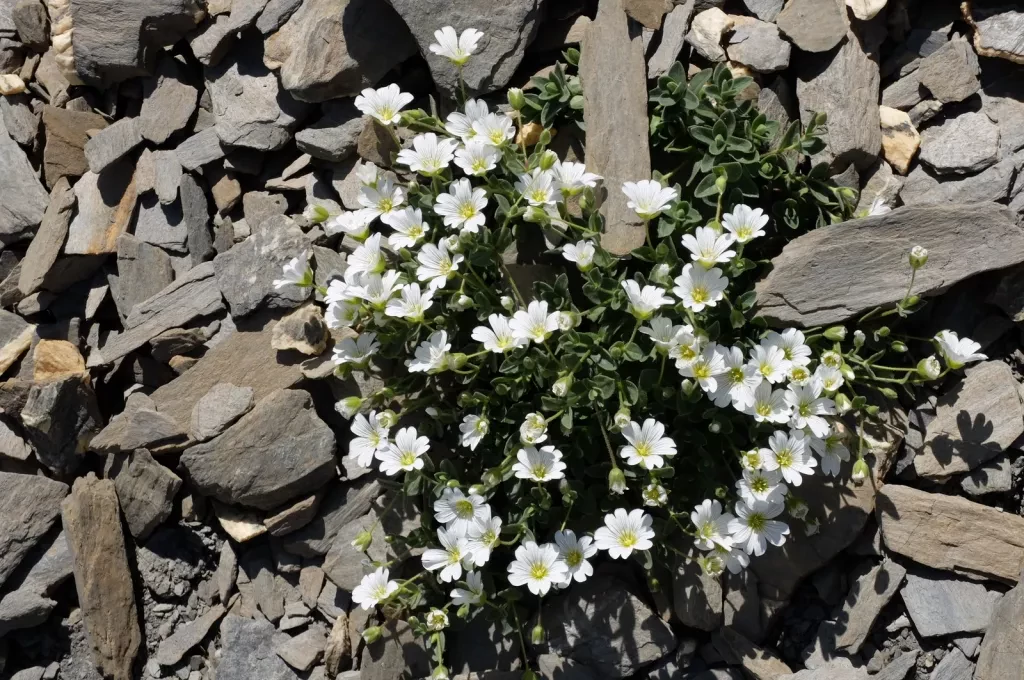 media-library116f07g4lhfrfR6UVaB